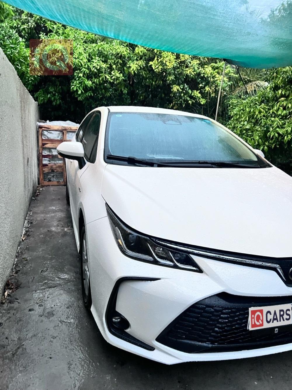 تويوتا كورولا